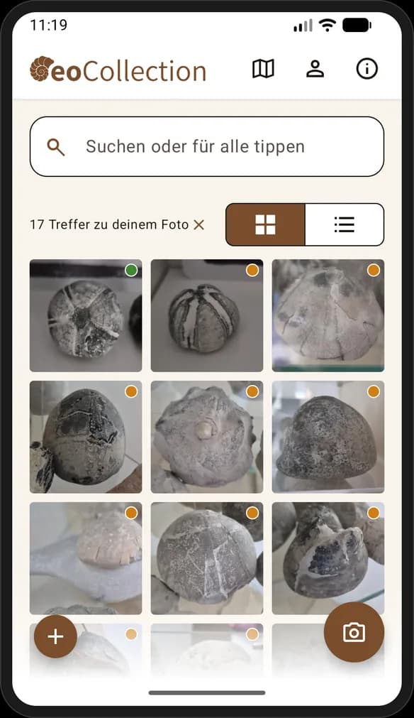 Trefferliste der Fossilien-Bildsuche